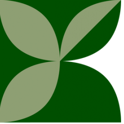 НОВЫЙ ЛОГОТИП